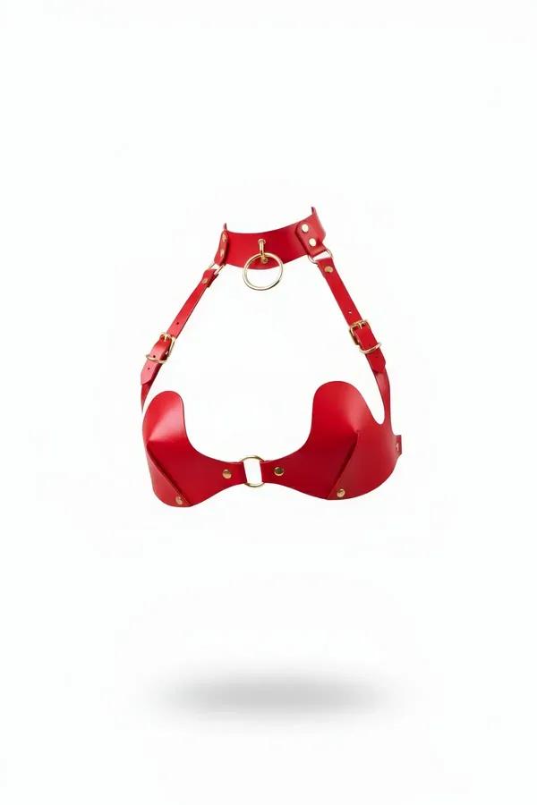 Sculpted Chest Harness Bra with Gold O-Ring Choker