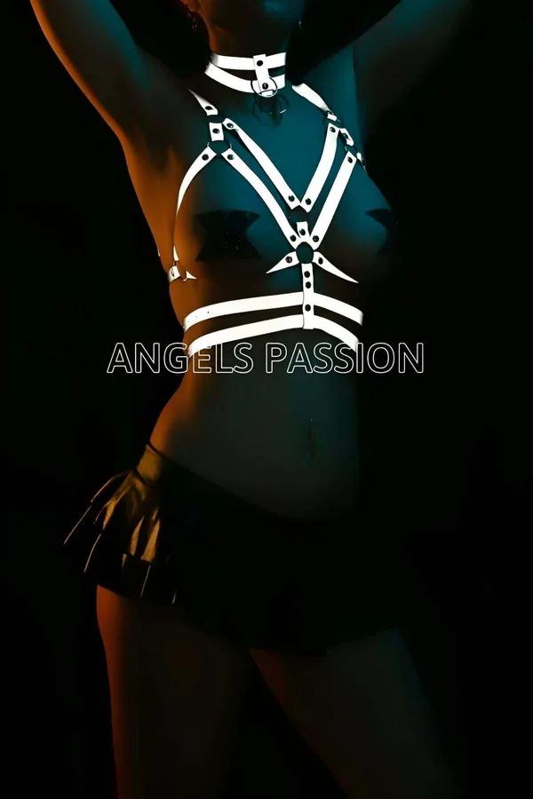 Reflective Chest Harness with Matching Choker Set