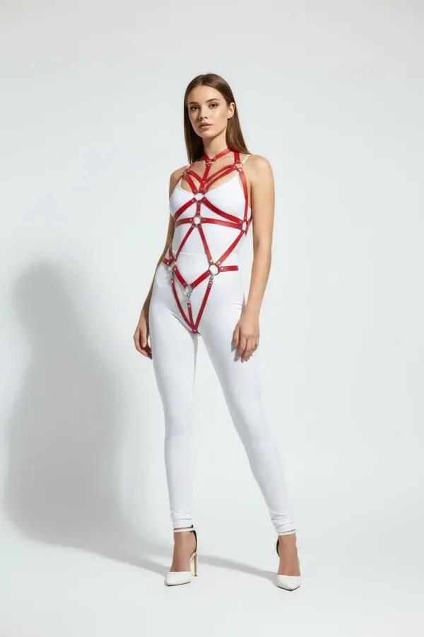 Full Body Harness with Interlocking Rings