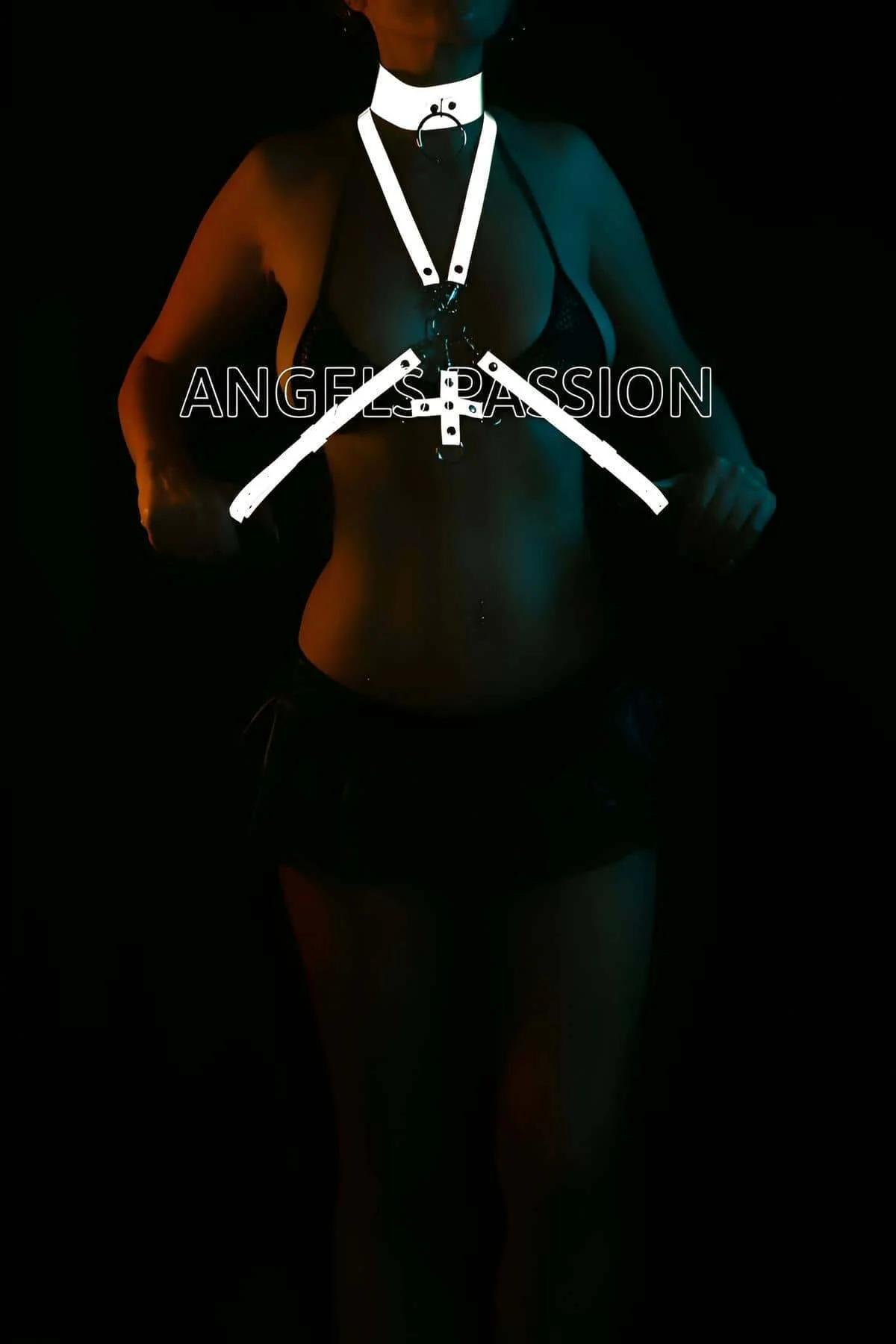 Reflective Body Harness with Choker and Adjustable Straps