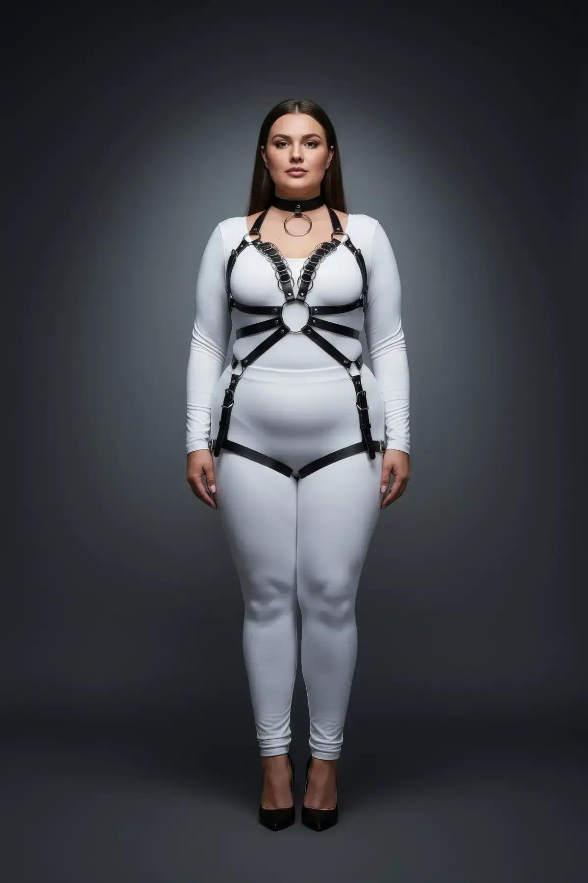 Full Body Harness with O-Ring and Choker
