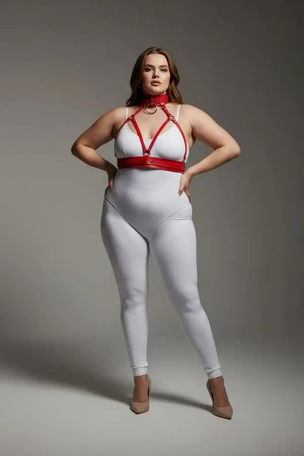 Red Strappy Harness with Choker and O-Ring