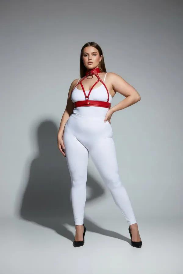 Red Strappy Harness with Choker and O-Ring