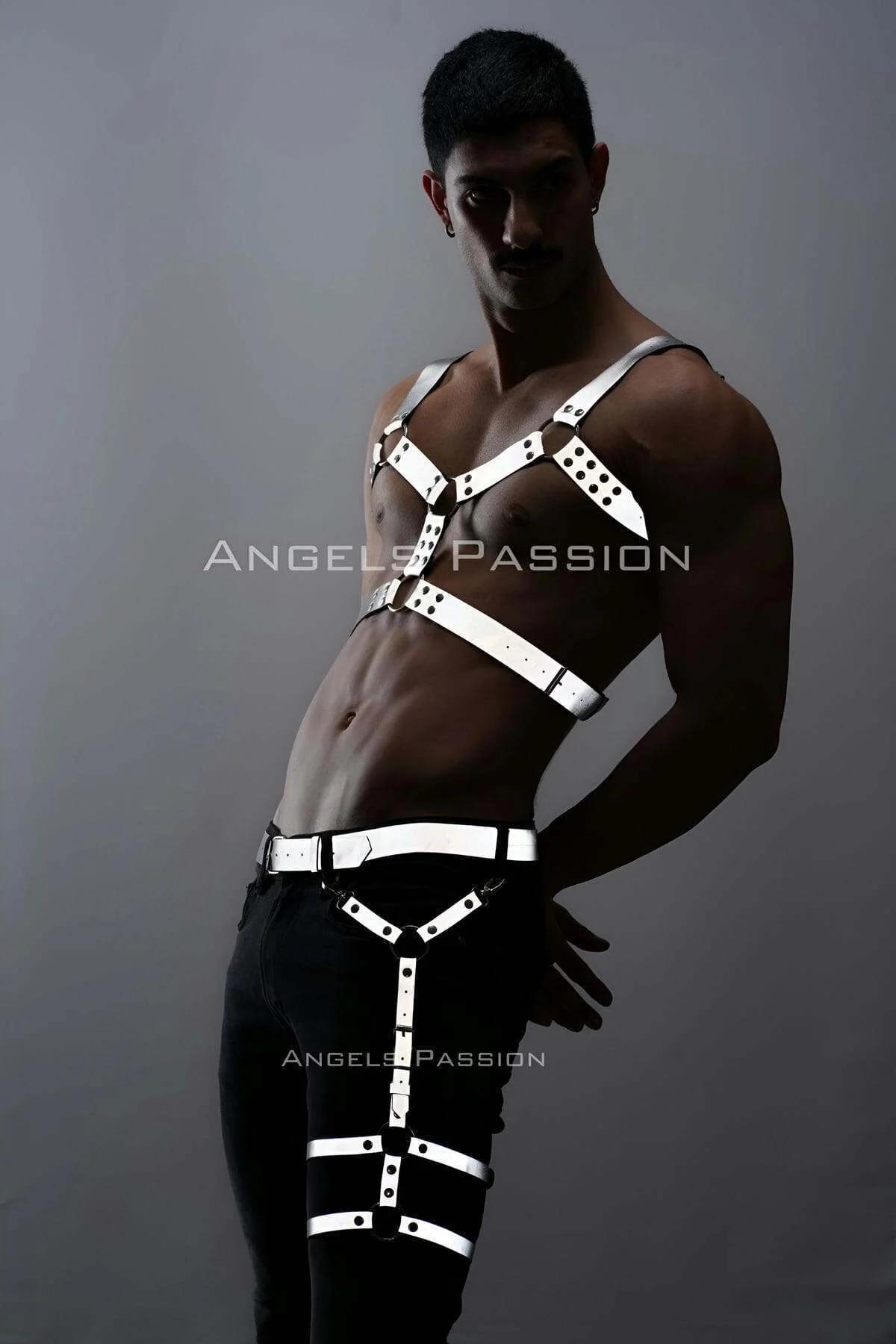 Reflective Chest & Leg Harness Set