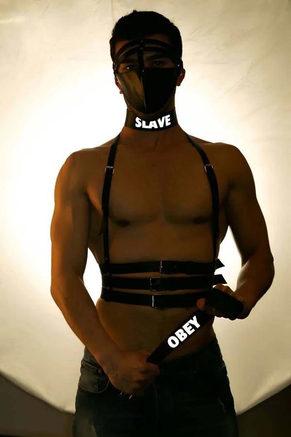 Reflective Harness with Choker and Strap Set