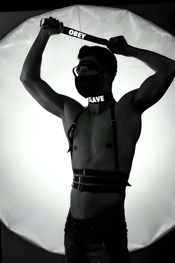 Reflective Harness with Choker and Strap Set