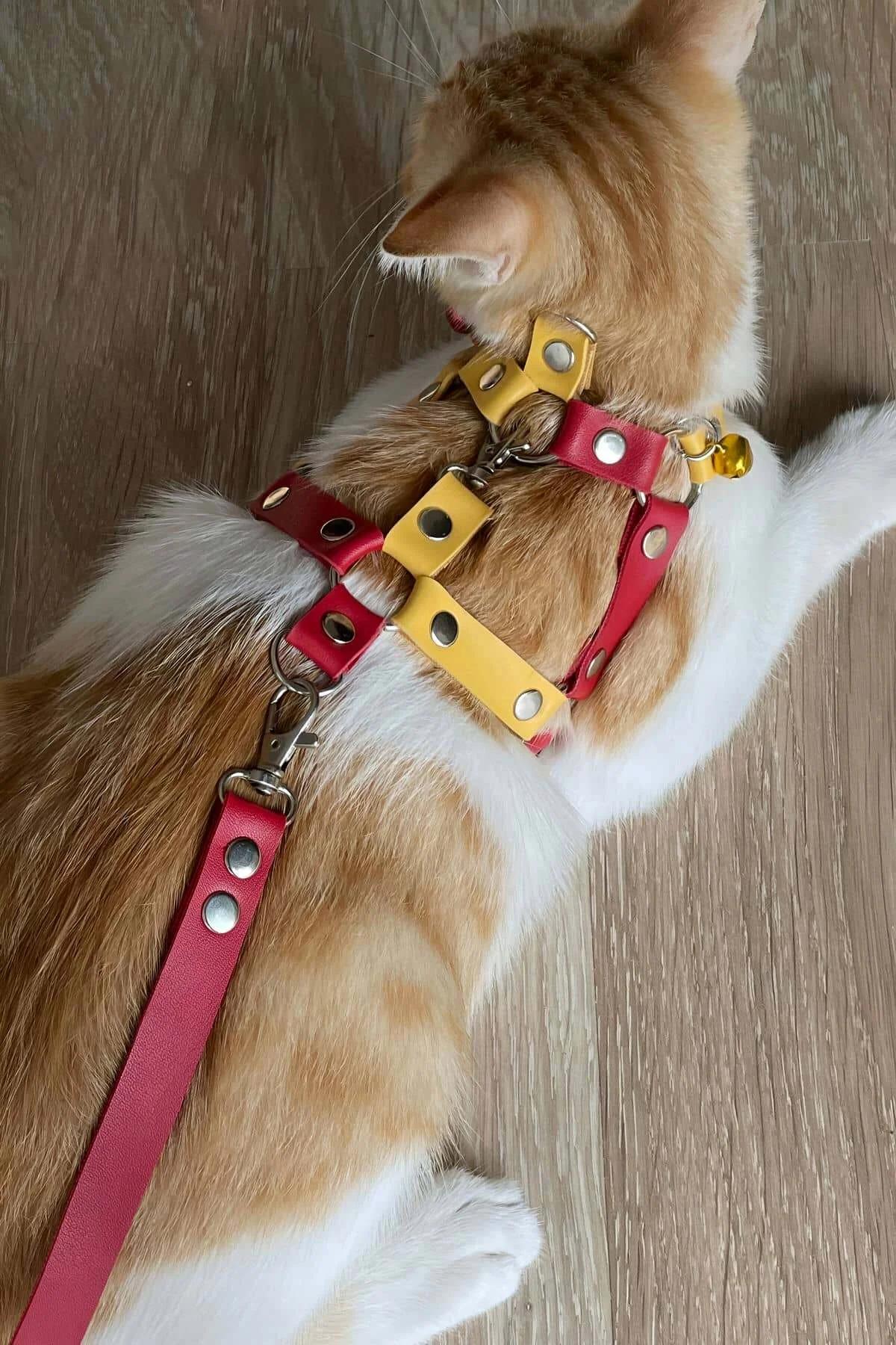 Adjustable Chest Harness with Leash Attachment for Cats