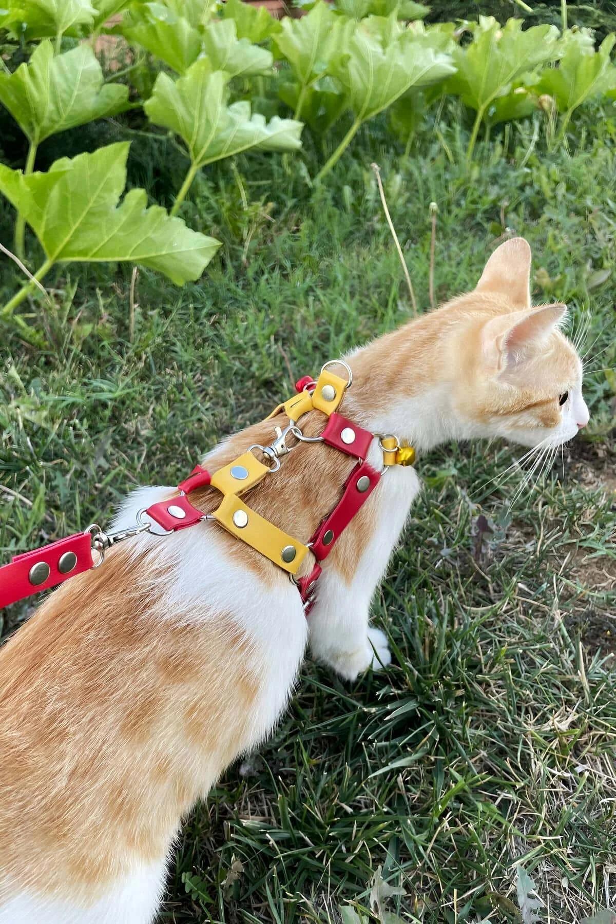 Adjustable Chest Harness with Leash Attachment for Cats