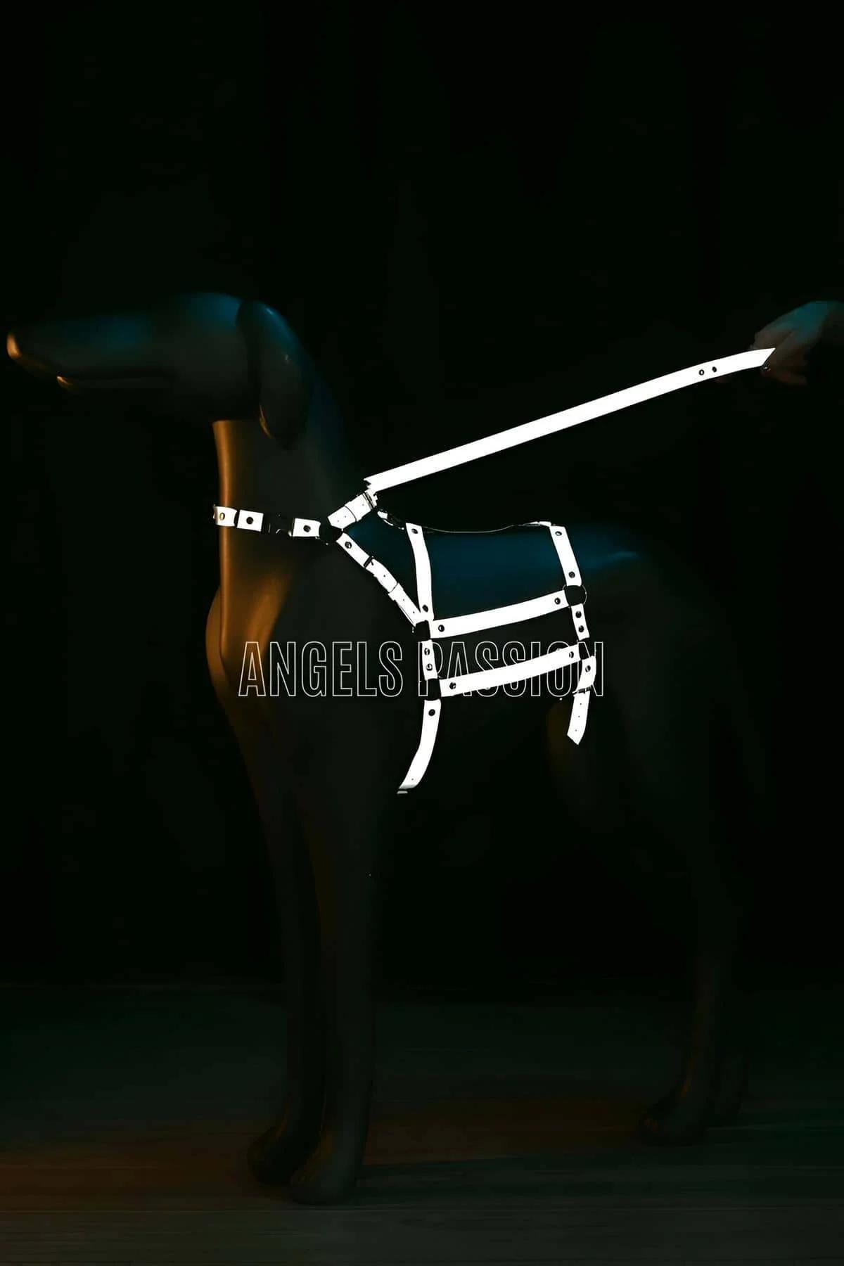 Reflective Body Harness with Adjustable Straps & Chain