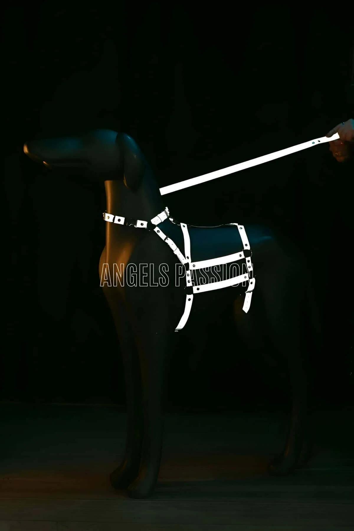 Reflective Body Harness with Adjustable Straps & Chain